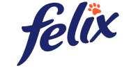SVG